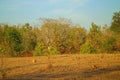 Area around Nagpur, India. Dry foothills