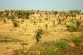 Area around Nagpur, India. Dry foothills