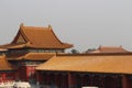 Roofs and ornaments of The Forbidden City.4.