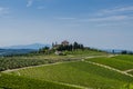 Area chianti Tuscan vineyards