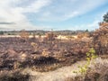 Area of Chobham common after a fire Royalty Free Stock Photo