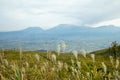 Area of Daikanbo observatory. One of beautiful landmark viewpoint of Aso Royalty Free Stock Photo