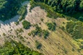 The area of the destroyed forest through the swamp Royalty Free Stock Photo