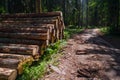 Area of illegal deforestation of vegetation in the forest. Cut the tree and wooden trunks from the forest. A pile of cut wood near Royalty Free Stock Photo