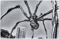 La Salve Bridge and the Maman sculpture near Guggenhaim museum in Bilbao, Spain