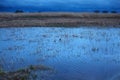 Area near Parnu bay in evening. It a bay in the northeastern part of the Gulf of Livonia