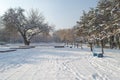 The area in the park, trees and benches are covered with snow in the morning Royalty Free Stock Photo