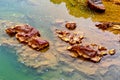 Colorful river rocks background in The river Odiel. Huelva, Andalucia, Spain