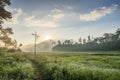 Area in Suoi Tia near Ho Tuyen Lam lake, Da Lat city, Vietnam