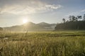 Area in Suoi Tia near Ho Tuyen Lam lake, Da Lat city, Vietnam Royalty Free Stock Photo