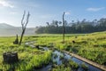 Area in Suoi Tia near Ho Tuyen Lam lake, Da Lat city, Vietnam