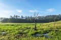 Area in Suoi Tia near Ho Tuyen Lam lake, Da Lat city, Vietnam