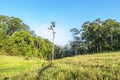 Area in Suoi Tia near Ho Tuyen Lam lake, Da Lat city, Vietnam Royalty Free Stock Photo