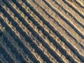 Areal agriculture view of field with shadows in the eveing sun