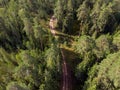 Areal bird eye airplane view of green europe spruce forest with car road