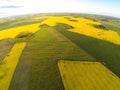 Areal view of blooming raps field Royalty Free Stock Photo