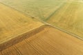 Areal view of corn field Royalty Free Stock Photo