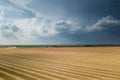 Areal view of crop fields in sunny summer day. Wheat Harvest. Royalty Free Stock Photo