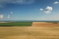 Areal view of crop fields in sunny summer day. Wheat Harvest. Royalty Free Stock Photo