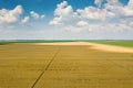 Areal view of crop fields in sunny summer day. Wheat Harvest Royalty Free Stock Photo