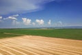 Areal view of crop fields in sunny summer day. Wheat Harvest Royalty Free Stock Photo