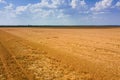 Areal view of crop fields in sunny summer day. Wheat Harvest Royalty Free Stock Photo