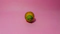 Areca nut on a pink background Royalty Free Stock Photo