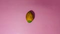 Areca nut on a pink background Royalty Free Stock Photo