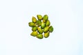 Areca Nut or Supari or Betel nuts small green palm on white background