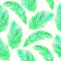 Areca palm dypsis lutescens leaves, hand painted watercolor illustration, seamless pattern design on soft