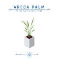 Areca palm isometric icon in flat style, vector Royalty Free Stock Photo