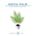 Areca palm isometric icon in flat style, vector Royalty Free Stock Photo