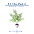 Areca palm isometric icon in flat style, vector Royalty Free Stock Photo