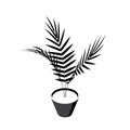 Areca palm isometric icons in flat style, vector Royalty Free Stock Photo