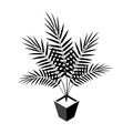 Areca palm isometric icons in flat style, vector Royalty Free Stock Photo