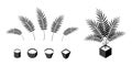 Areca palm isometric icons in flat style, vector Royalty Free Stock Photo