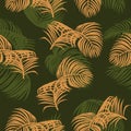 Tropical seamless for wallpaper. Royalty Free Stock Photo