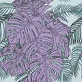 Tropical seamless for wallpaper. Royalty Free Stock Photo