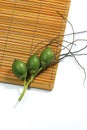 Areca on the rattan Royalty Free Stock Photo