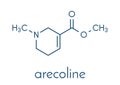 Arecoline areca nut stimulant compound, chemical structure. Skeletal formula. Royalty Free Stock Photo