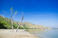 Areia branca beach near dili east timor