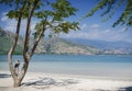 Areia branca tropical beach view near dili in east timor Royalty Free Stock Photo