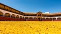 Arena of the hexagonal bullring of the city of Almaden, a world heritage site.