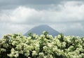 Arenal Volcano in Costa Rica Royalty Free Stock Photo