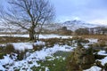 Arenig Fach winter view