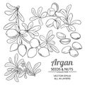 Argan branches vector set