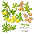 Argan branches vector set