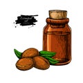 Argan essential oil bottle hand drawn vector illustration. Isola