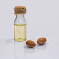 Argan fruit (Argania spinosa), nuts and oil on white background Royalty Free Stock Photo