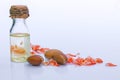 Argan fruit (Argania spinosa), nuts and oil on white background